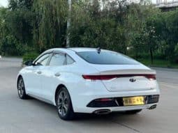 
										Hyundai Lafesta, 2020 full									