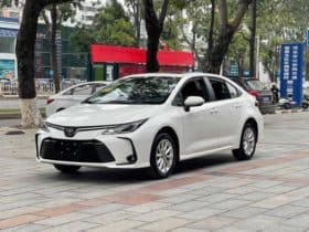 Toyota Corolla (XII), 2024
