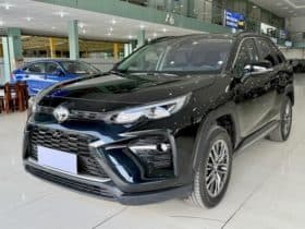 Toyota Wildlander, 2024