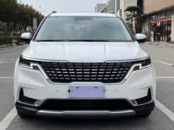 
										Kia Carnival, 2022 full									