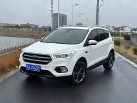 Ford Winged Tiger, 2020