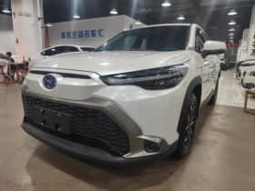 Toyota Frontlander, 2024