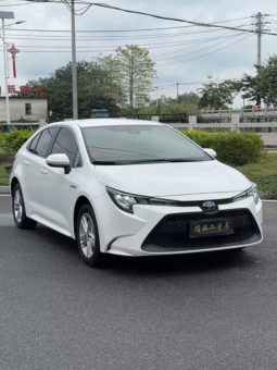 
										Toyota Levin, 2022 full									