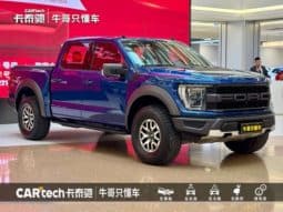 
										Ford F-150 (XIII), 2023 full									