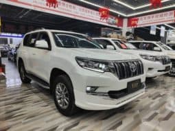
										Toyota Prado, 2020 full									