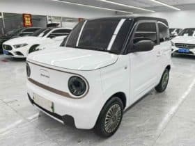 Geely Panda, 2023