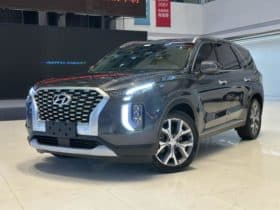 Hyundai Palisade, 2022
