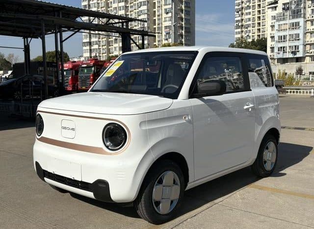 6797b4993ba13 Geely Panda, 2024