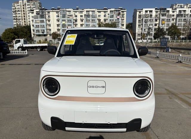 
								Geely Panda, 2024 full									
