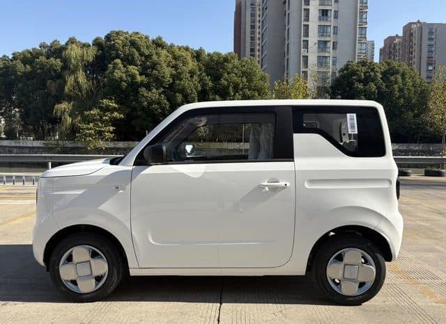 
								Geely Panda, 2024 full									