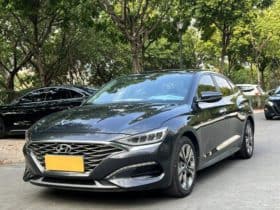 Hyundai Lafesta, 2020