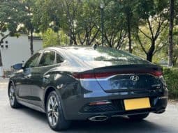 
										Hyundai Lafesta, 2020 full									