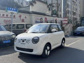 Changan Lumin, 2024