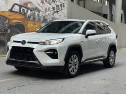 67990d5ea0410 Toyota Wildlander, 2020