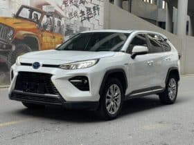 Toyota Wildlander, 2020