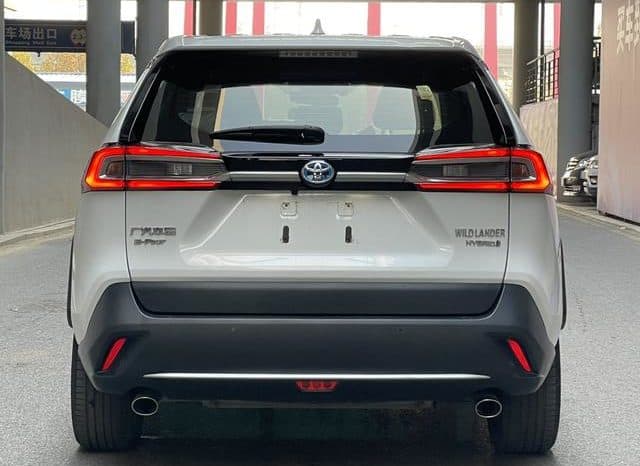 
								Toyota Wildlander, 2020 full									