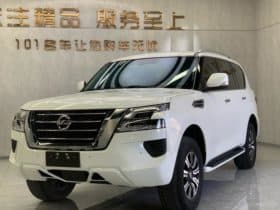 Nissan Patro (IV), 2020