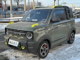 Geely Panda, 2024