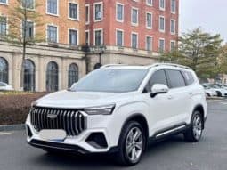 67ab14e8b0cd9 Geely Okavango (II), 2023