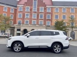 
										Geely Okavango (II), 2023 full									