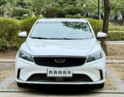 
										Geely Binrui, 2021 full									