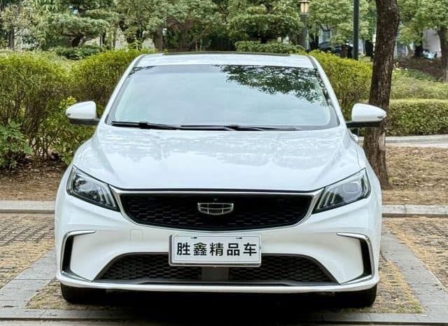 
								Geely Binrui, 2021 full									