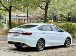 
										Geely Binrui, 2021 full									