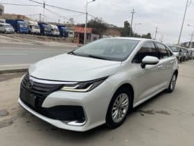 Toyota Corolla(XI), 2021