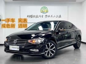 Volkswagen Magotan, 2021
