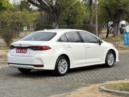 
										Toyota Corolla(XI), 2021 full									