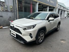 Toyota RAV4 (IV), 2020