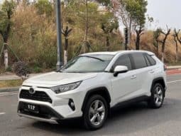 67b6f19becc54 Toyota RAV4 (IV), 2022