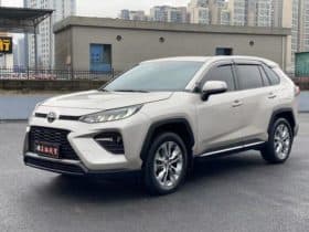 Toyota Wildlander, 2022