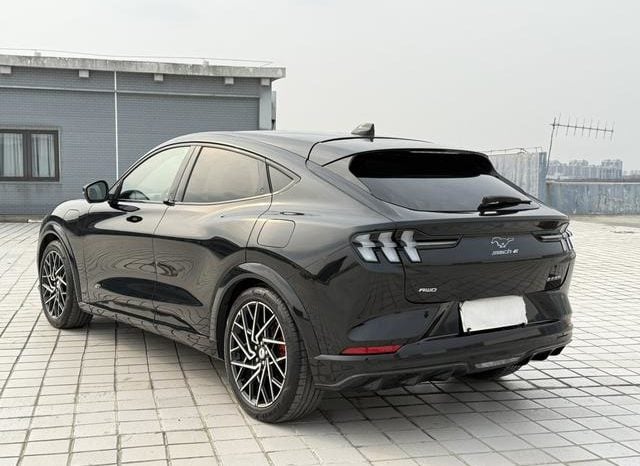 
								Ford Mustang Mach-E, 2023 full									