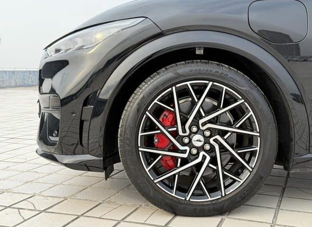 
								Ford Mustang Mach-E, 2023 full									