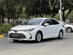 67b8a0078e4df Toyota Corolla (XII), 2024