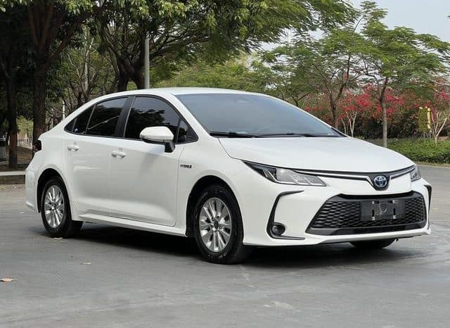 
								Toyota Corolla (XII), 2024 full									