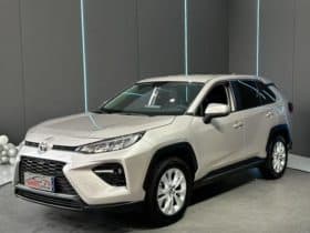 Toyota Wildlander, 2022