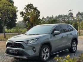 Toyota RAV4 (IV), 2020