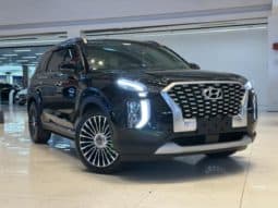 
										Hyundai Palisade, 2023 full									