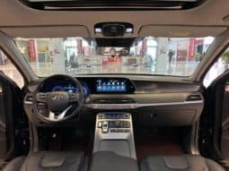 
										Hyundai Palisade, 2023 full									