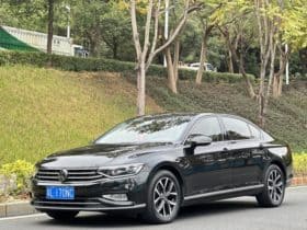 Volkswagen Magotan, 2021