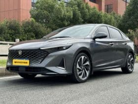 Changan Raeton PLUS, 2023