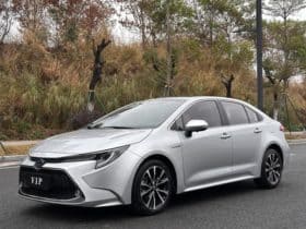 Toyota Levin, 2020
