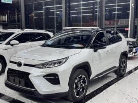 Toyota Wildlander, 2020