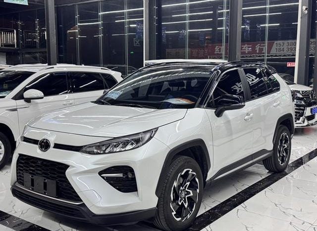 67c035b6ce13e Toyota Wildlander, 2020