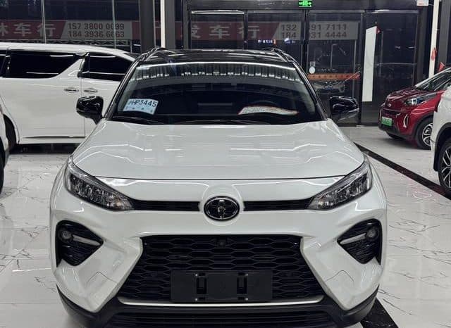 
								Toyota Wildlander, 2020 full									