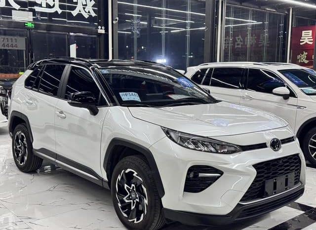 
								Toyota Wildlander, 2020 full									