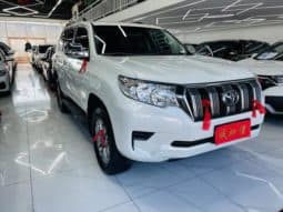
										Toyota Prado, 2020 full									