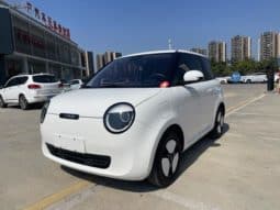 67c44408c8983 Changan Lumin, 2023